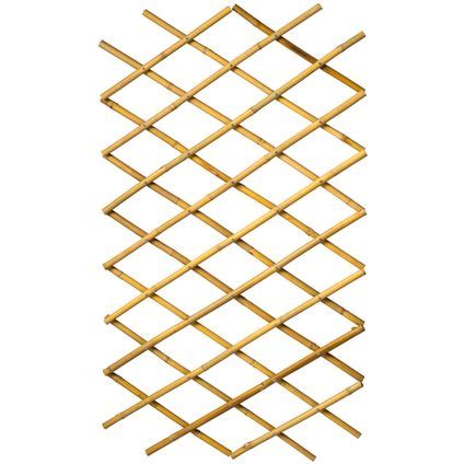 trellis praxis.